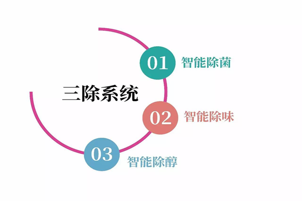 衣柜預告：會呼吸的新一代衣柜？